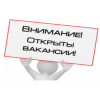 Удалённая работа для новичков. Обучаем и даём работу! Выплаты на кару!